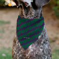 Load image into Gallery viewer, Pet Bandana - The Joker Laugh HAHAHA Text Purple/Green
