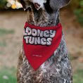 Load image into Gallery viewer, Pet Bandana - LOONEY TUNES Five Character Target Close-Up Pose Red
