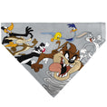 Load image into Gallery viewer, Pet Bandana - LOONEY TUNES Seven Character Running Pose Gray
