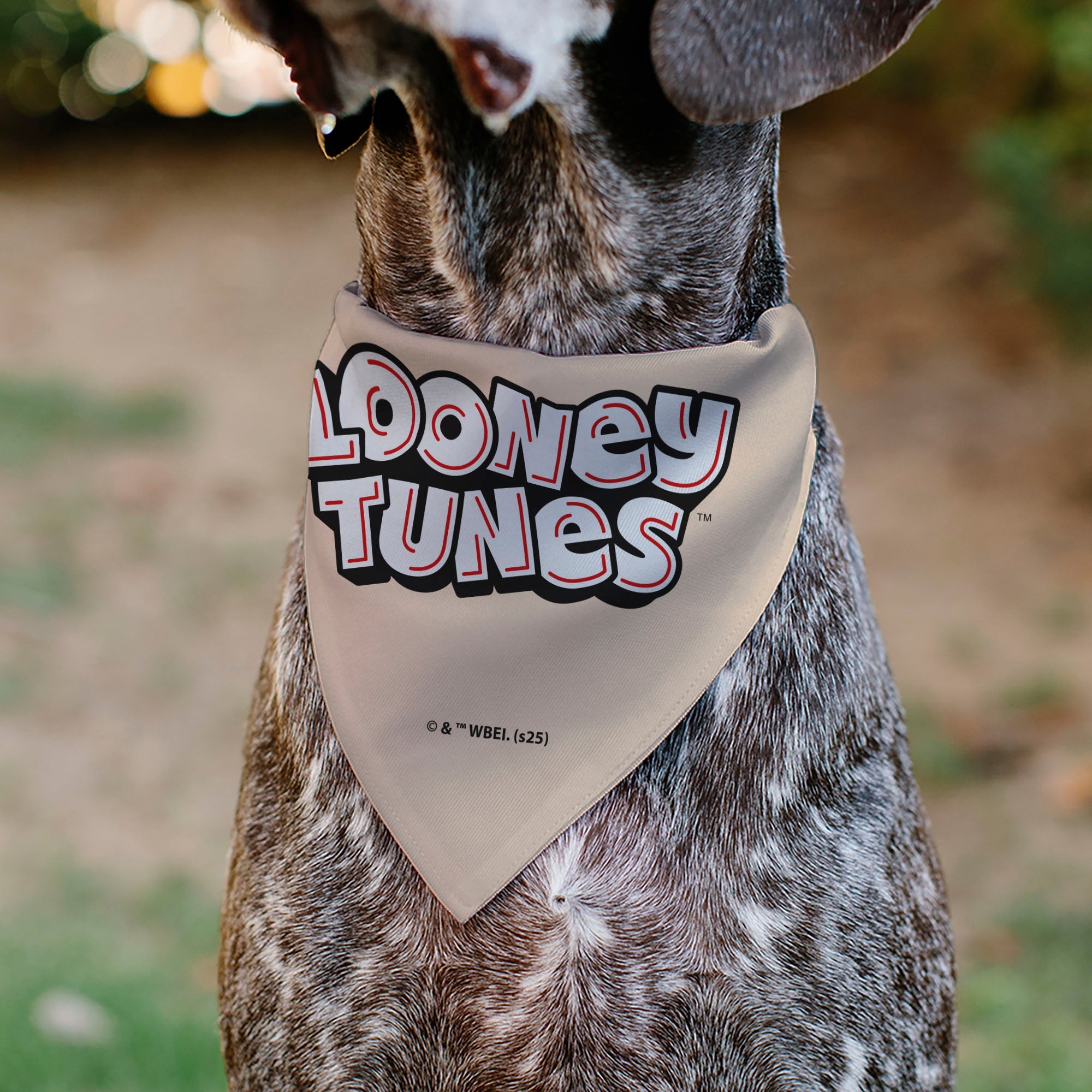 Pet Bandana - LOONEY TUNES Six Character Stack Pose Beige