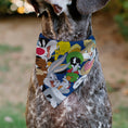 Load image into Gallery viewer, Pet Bandana - LOONEY TUNES Seven Character Stack Pose Blue
