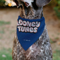 Load image into Gallery viewer, Pet Bandana - LOONEY TUNES Seven Character Stack Pose Blue
