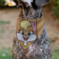 Load image into Gallery viewer, Pet Bandana - LOONEY TUNES Lola Bunny Face Close-Up Peach
