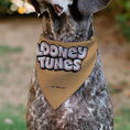 Load image into Gallery viewer, Pet Bandana - LOONEY TUNES Lola Bunny Face Close-Up Peach
