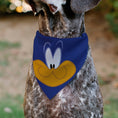 Load image into Gallery viewer, Pet Bandana - LOONEY TUNES Road Runner Face Close-Up Blue
