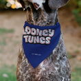 Load image into Gallery viewer, Pet Bandana - LOONEY TUNES Road Runner Face Close-Up Blue
