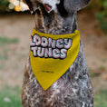 Load image into Gallery viewer, Pet Bandana - LOONEY TUNES Speedy Gonzales Face Close-Up Yellow
