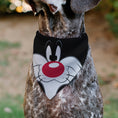 Load image into Gallery viewer, Pet Bandana - LOONEY TUNES Sylvester the Cat Face Close-Up Black
