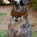 Load image into Gallery viewer, Pet Bandana - LOONEY TUNES Taz Tasmanian Devil Face Close-Up Brown
