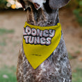 Load image into Gallery viewer, Pet Bandana - LOONEY TUNES Tweety Bird Face Close-Up Yellow
