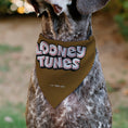 Load image into Gallery viewer, Pet Bandana - LOONEY TUNES Wile E. Coyote Face Close-Up Brown
