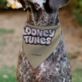 Load image into Gallery viewer, Pet Bandana - LOONEY TUNES Yosemite Sam Face Close-Up Tan
