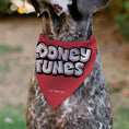 Load image into Gallery viewer, Pet Bandana - Bugs Bunny and Lola Bunny I EAR YOU LOVE ME Pose Hearts and Title Logo Reds
