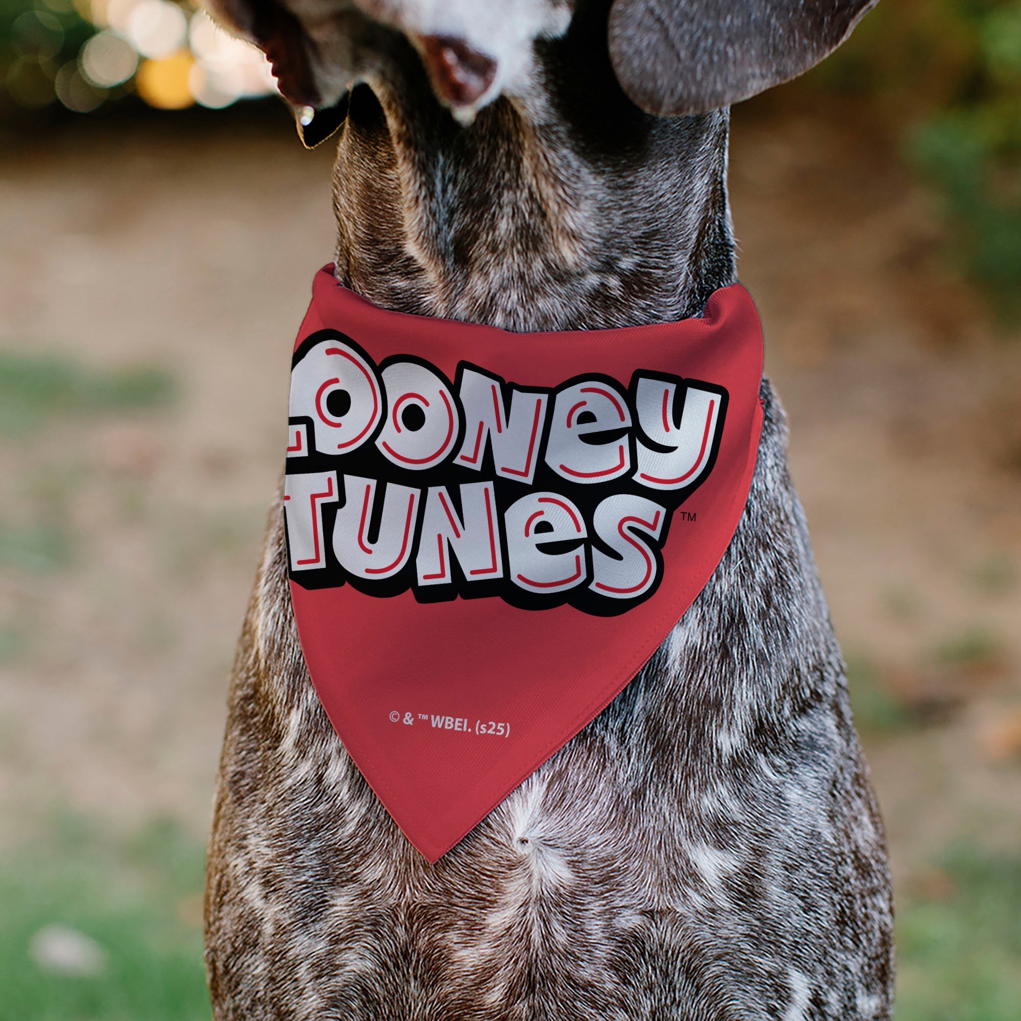 Pet Bandana - Bugs Bunny and Lola Bunny I EAR YOU LOVE ME Pose Hearts and Title Logo Reds