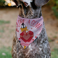 Load image into Gallery viewer, Pet Bandana - Daffy Duck YOU'RE A GEM Heart Pose and Title Logo Pink
