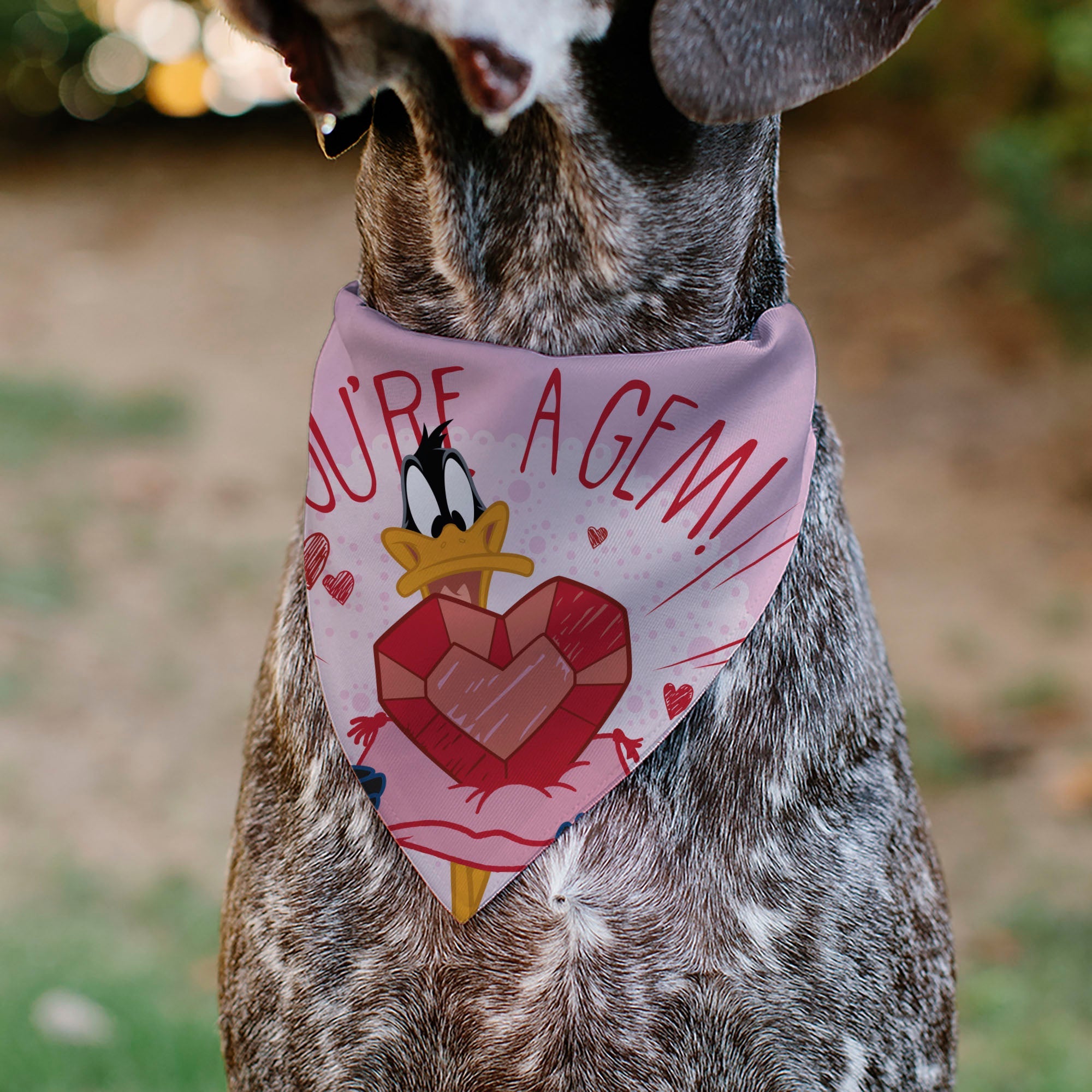 Pet Bandana - Daffy Duck YOU'RE A GEM Heart Pose and Title Logo Pink