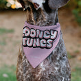 Load image into Gallery viewer, Pet Bandana - Daffy Duck YOU'RE A GEM Heart Pose and Title Logo Pink

