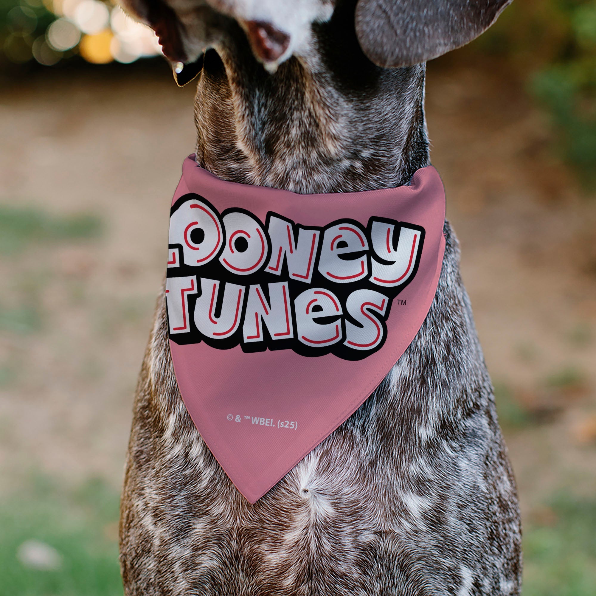 Pet Bandana - Tweety Bird BE MY CUPCAKE Sweets Pose and Title Logo Pink