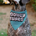 Load image into Gallery viewer, Pet Bandana - Taz Tasmanian Devil CRAZY IN LOVE Heart Pose and Title Logo Blue
