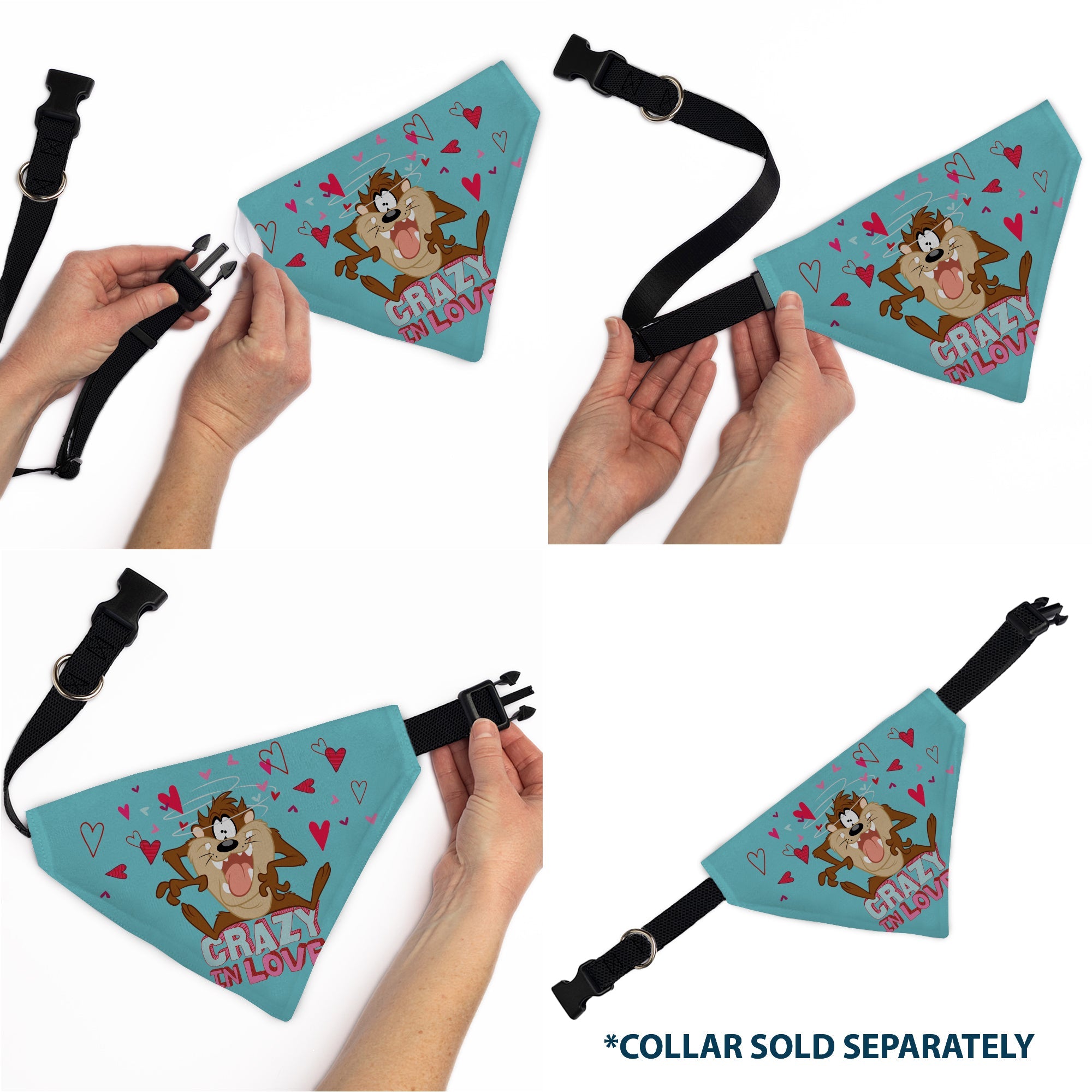 Pet Bandana - Taz Tasmanian Devil CRAZY IN LOVE Heart Pose and Title Logo Blue
