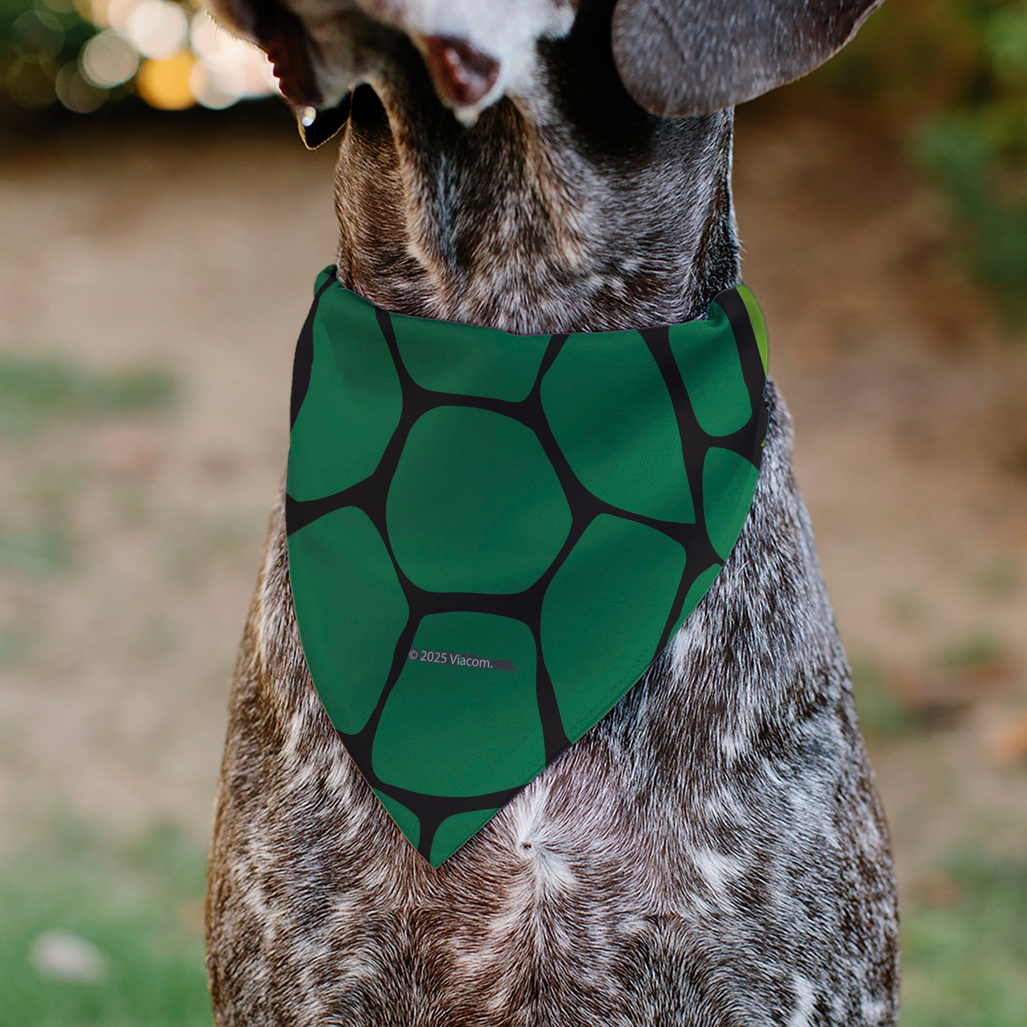Pet Bandana - Ninja Turtles Leonardo Face and Turtle Shell Character Close-Up Green