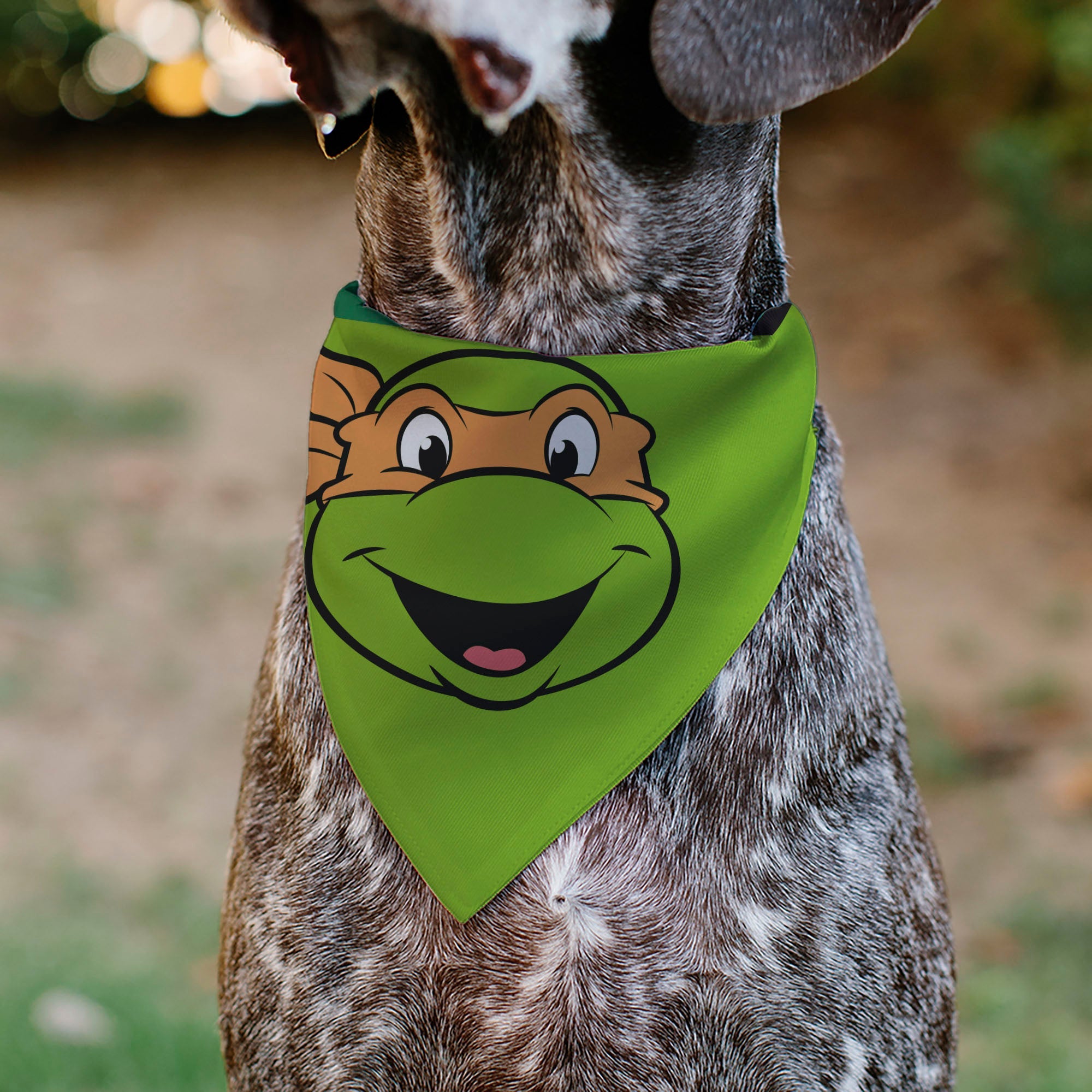 Pet Bandana - Ninja Turtles Michaelangelo Face and Turtle Shell Character Close-Up Green