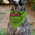 Load image into Gallery viewer, Pet Bandana - Ninja Turtles Raphael Face and Turtle Shell Character Close-Up Green

