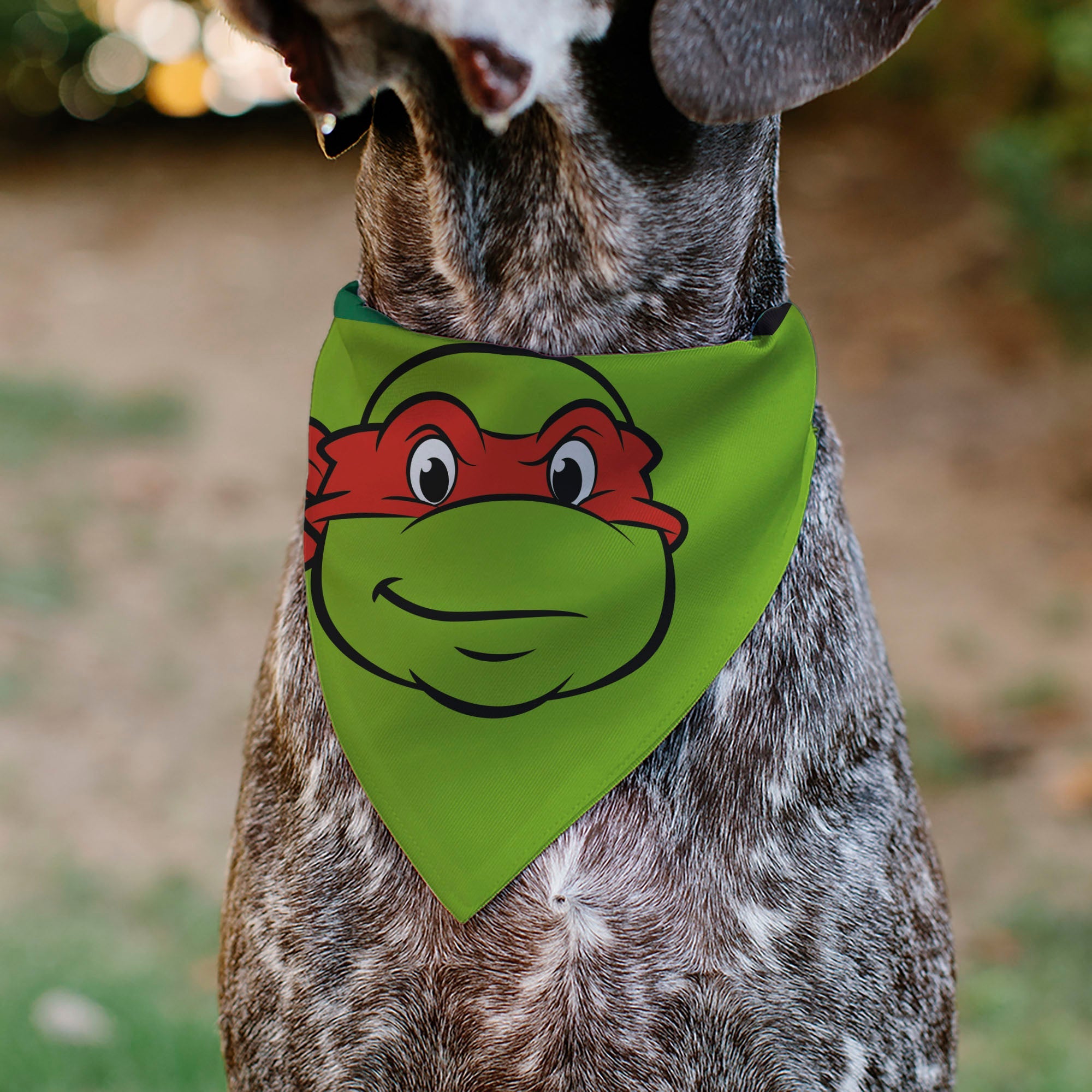 Pet Bandana - Ninja Turtles Raphael Face and Turtle Shell Character Close-Up Green