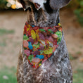 Load image into Gallery viewer, Pet Bandana - FRUITY PEBBLES Fred Flintstone and Barney Rubble Cereal Box Print and Vivid Cereal Multi Color
