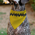 Load image into Gallery viewer, Pet Bandana - Peanuts Charlie Brown Zig Zag Stripe Yellow/Black

