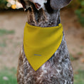 Load image into Gallery viewer, Pet Bandana - Peanuts Charlie Brown Zig Zag Stripe Yellow/Black

