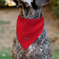 Load image into Gallery viewer, Pet Bandana - Peanuts Snoopy Face and Profile Pose Reds
