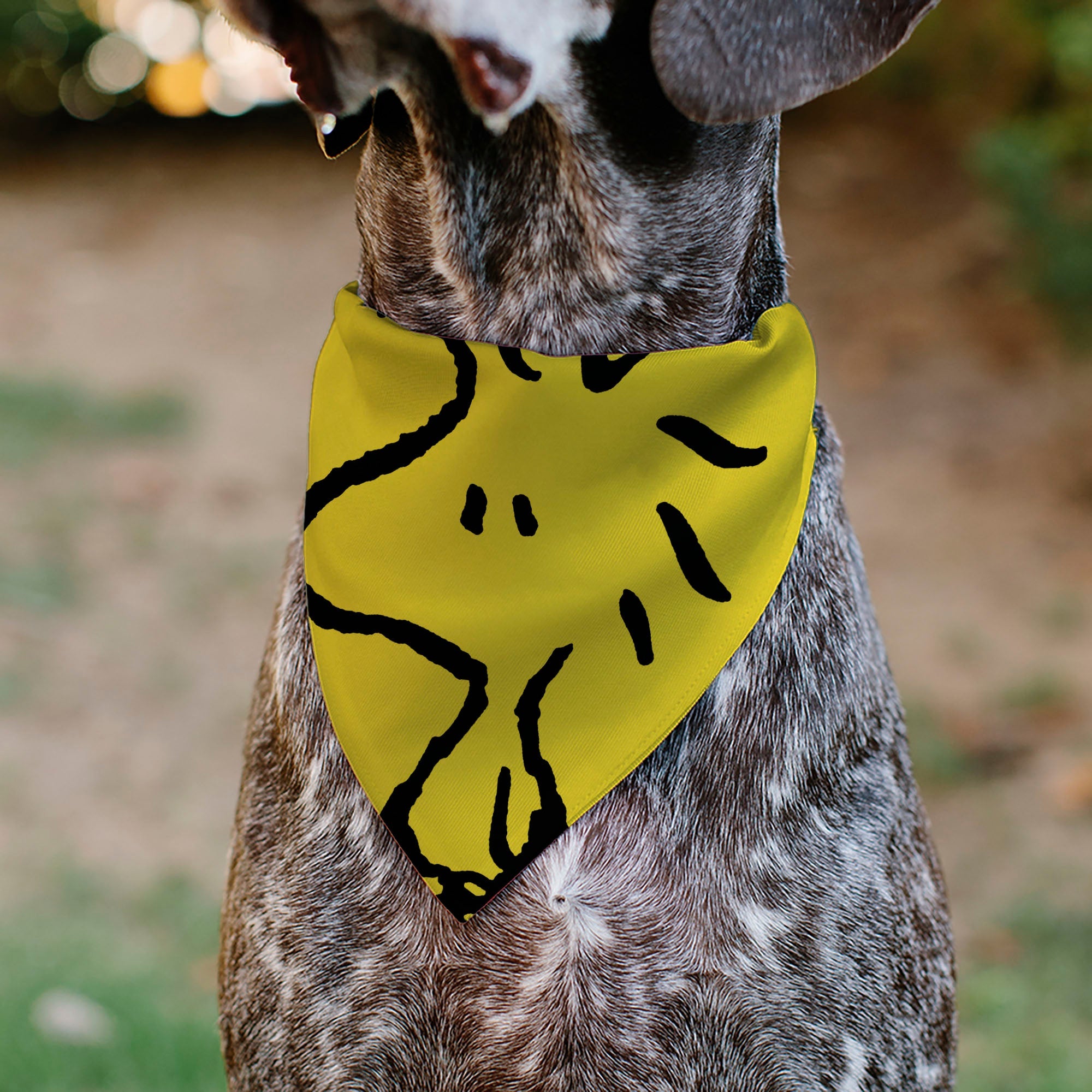 Pet Bandana - Peanuts Woodstock Pose Yellow