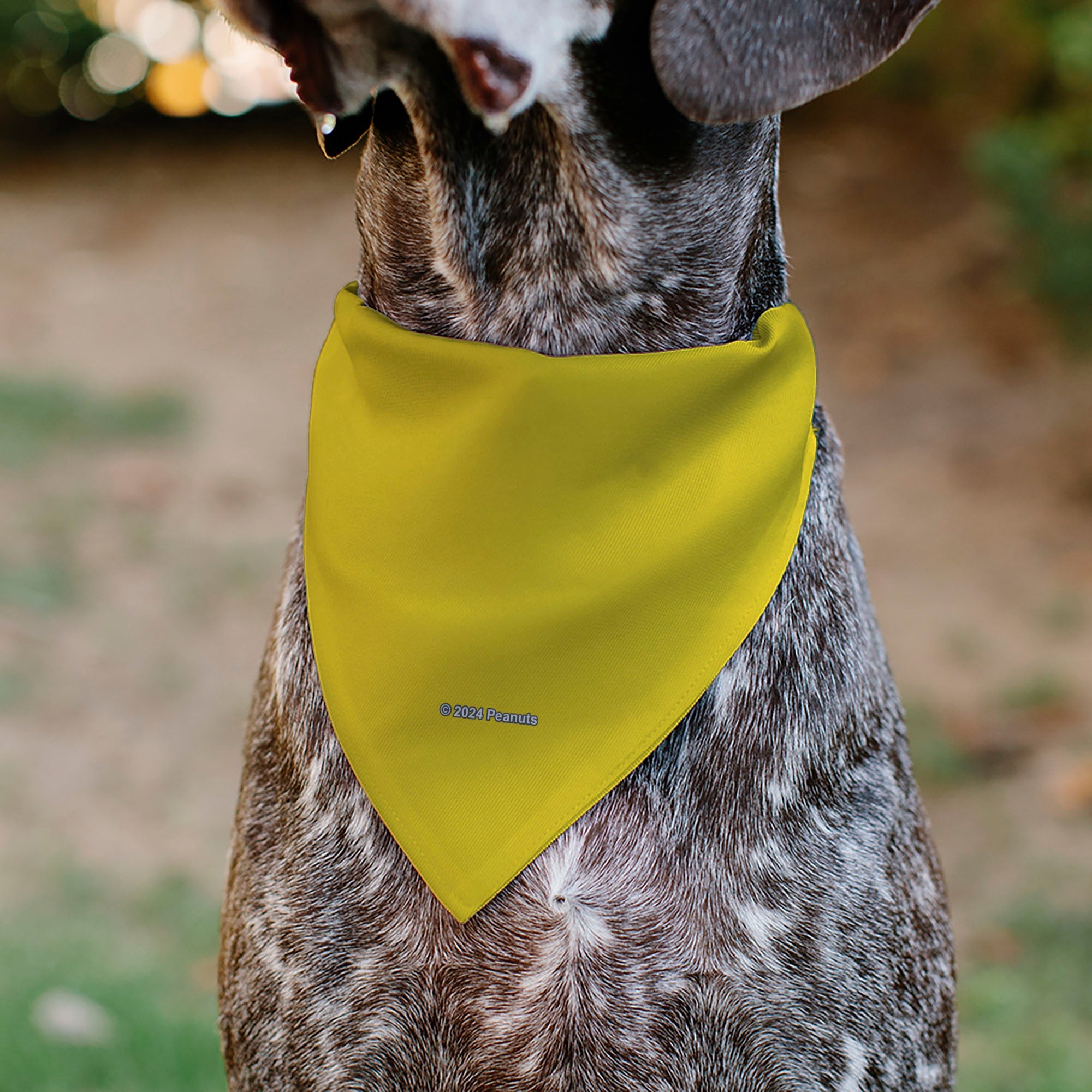 Pet Bandana - Peanuts Woodstock Pose Yellow
