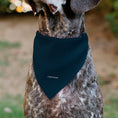 Load image into Gallery viewer, Pet Bandana - Peanuts Astronaut Snoopy I NEED MY SPACE Pose Blue
