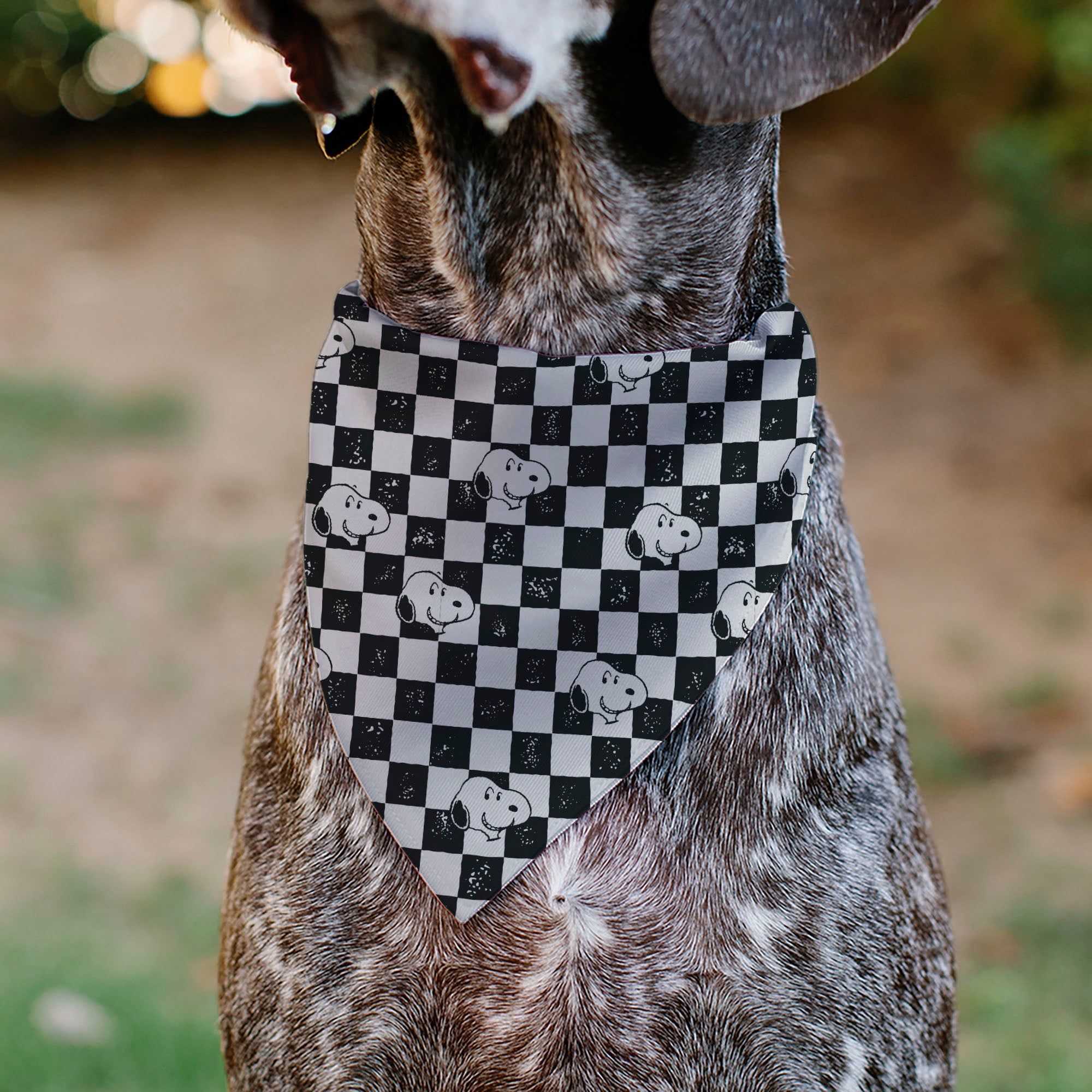 Pet Bandana - Peanuts Snoopy Smiling Face Checker Black/White