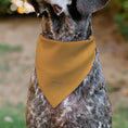 Load image into Gallery viewer, Pet Bandana - Peanuts Marcie Smiling Face Pose Yellow
