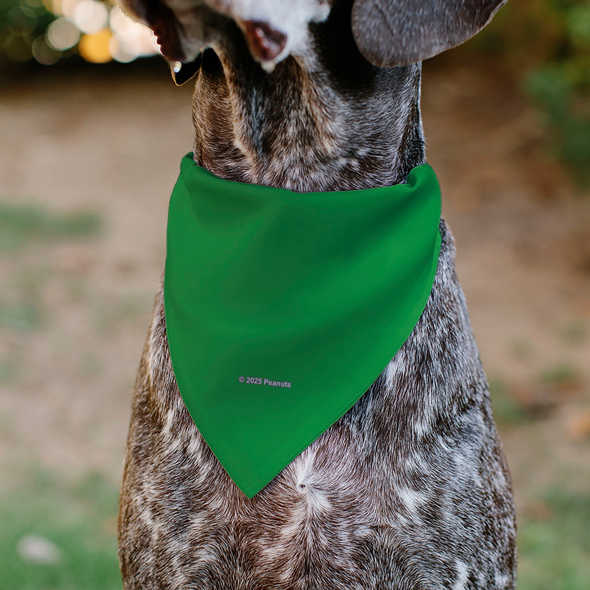 Pet Bandana - Peanuts Peppermint Patty Smiling Face Pose Green