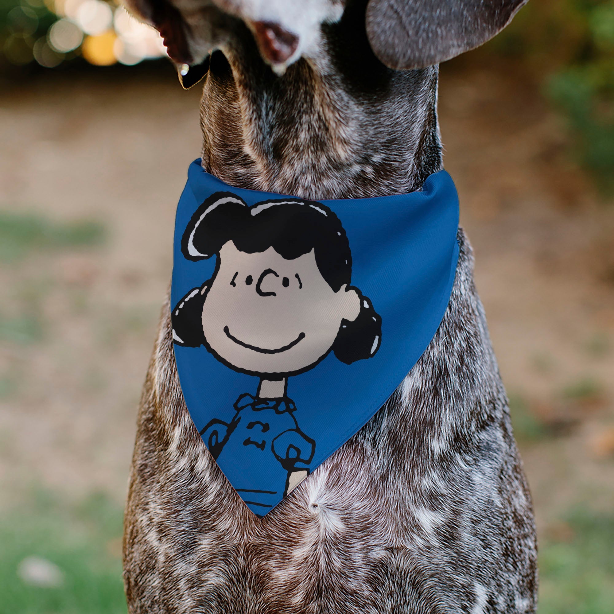 Pet Bandana - Peanuts Lucy van Pelt Smiling Face Pose Blue