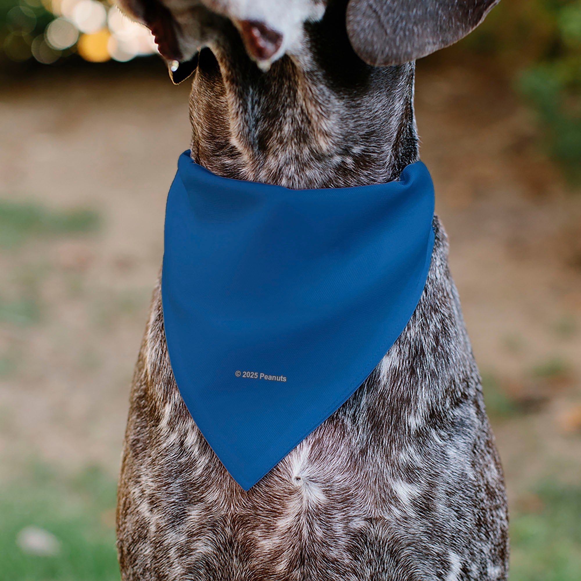 Pet Bandana - Peanuts Lucy van Pelt Smiling Face Pose Blue