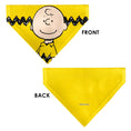 Load image into Gallery viewer, Pet Bandana - Peanuts Charlie Brown Smiling Face Pose with Stripe Yellow
