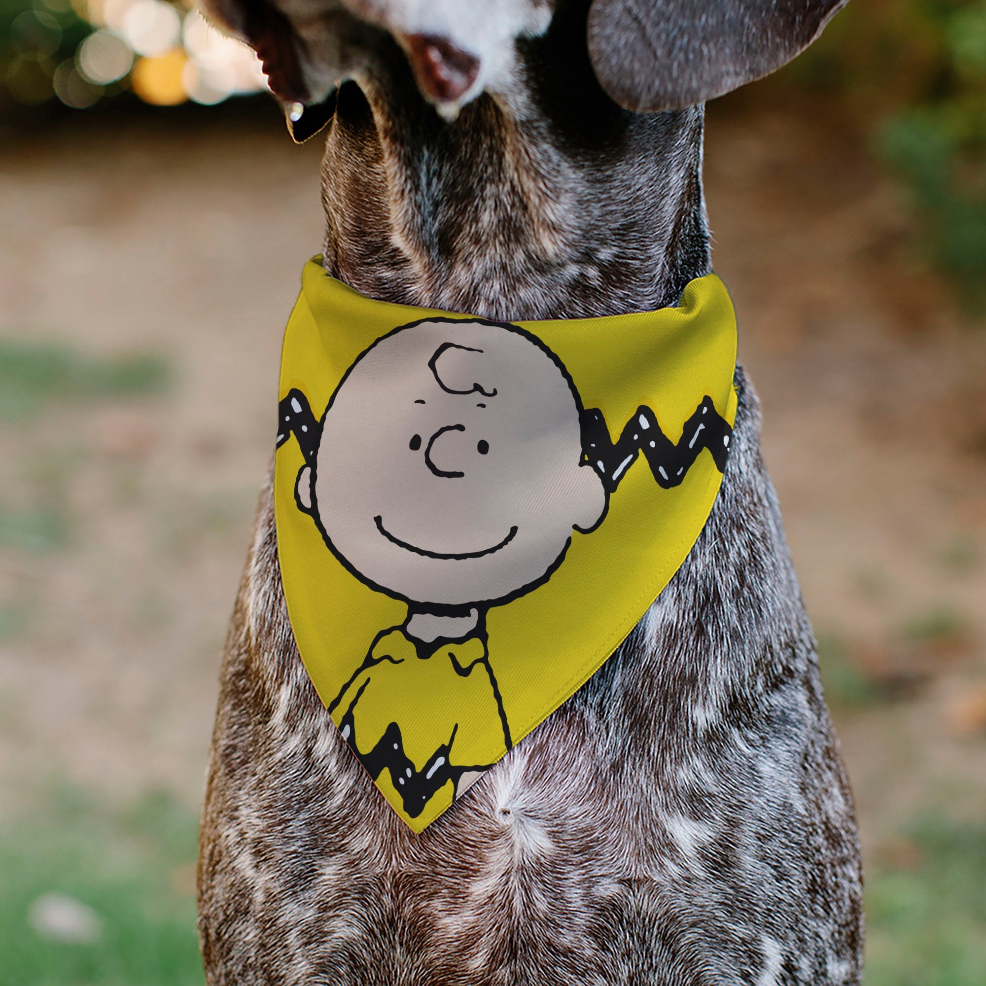 Pet Bandana - Peanuts Charlie Brown Smiling Face Pose with Stripe Yellow