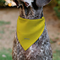 Load image into Gallery viewer, Pet Bandana - Peanuts Charlie Brown Smiling Face Pose with Stripe Yellow
