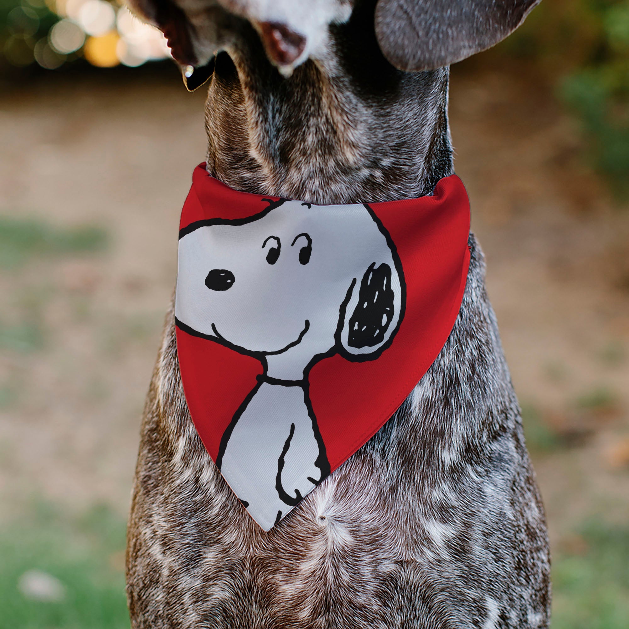 Pet Bandana - Peanuts Snoopy Smiling Face Pose Red