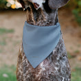 Load image into Gallery viewer, Pet Bandana - Peanuts Snoopy COWBOY USA Pose Light Blue/Red/White/Blue
