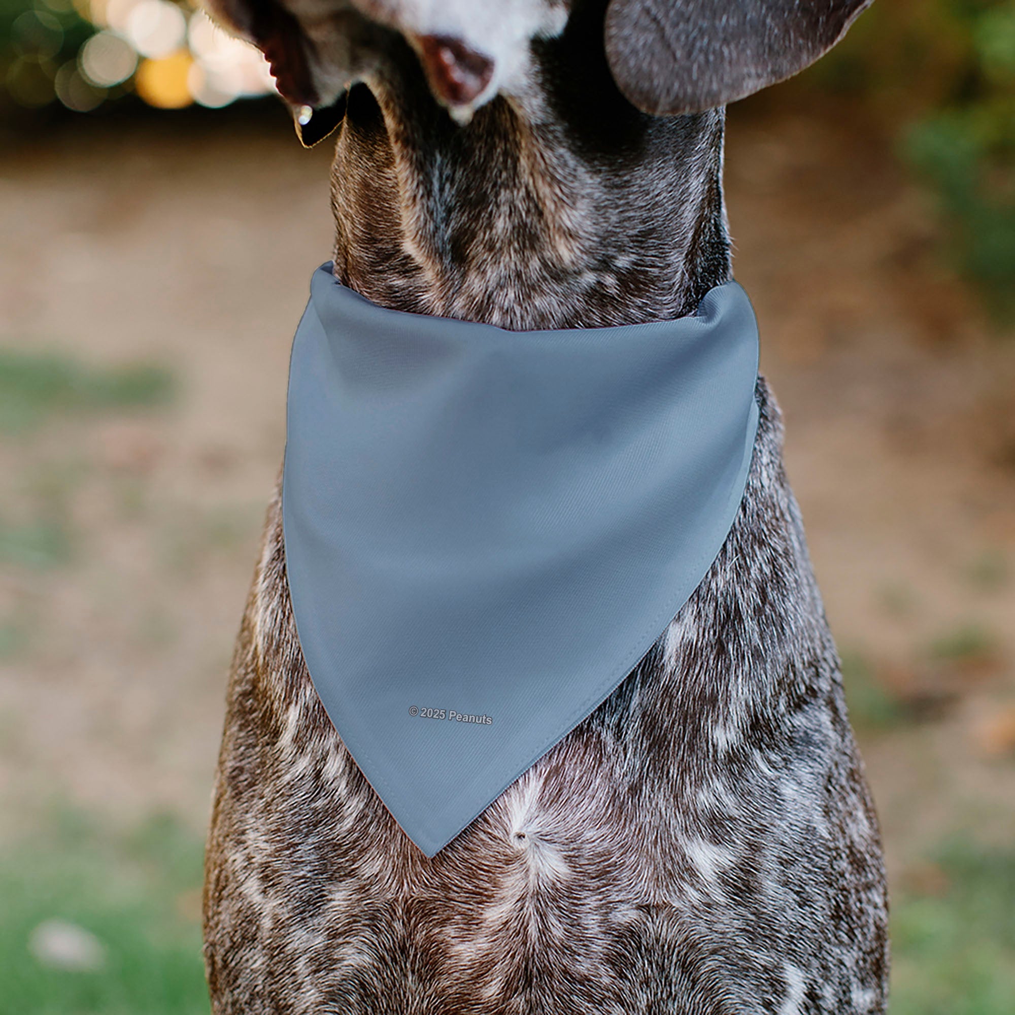 Pet Bandana - Peanuts Snoopy COWBOY USA Pose Light Blue/Red/White/Blue