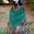 Load image into Gallery viewer, Pet Bandana - The Powerpuff Girls Flight Pose Pinks/Blues/Greens
