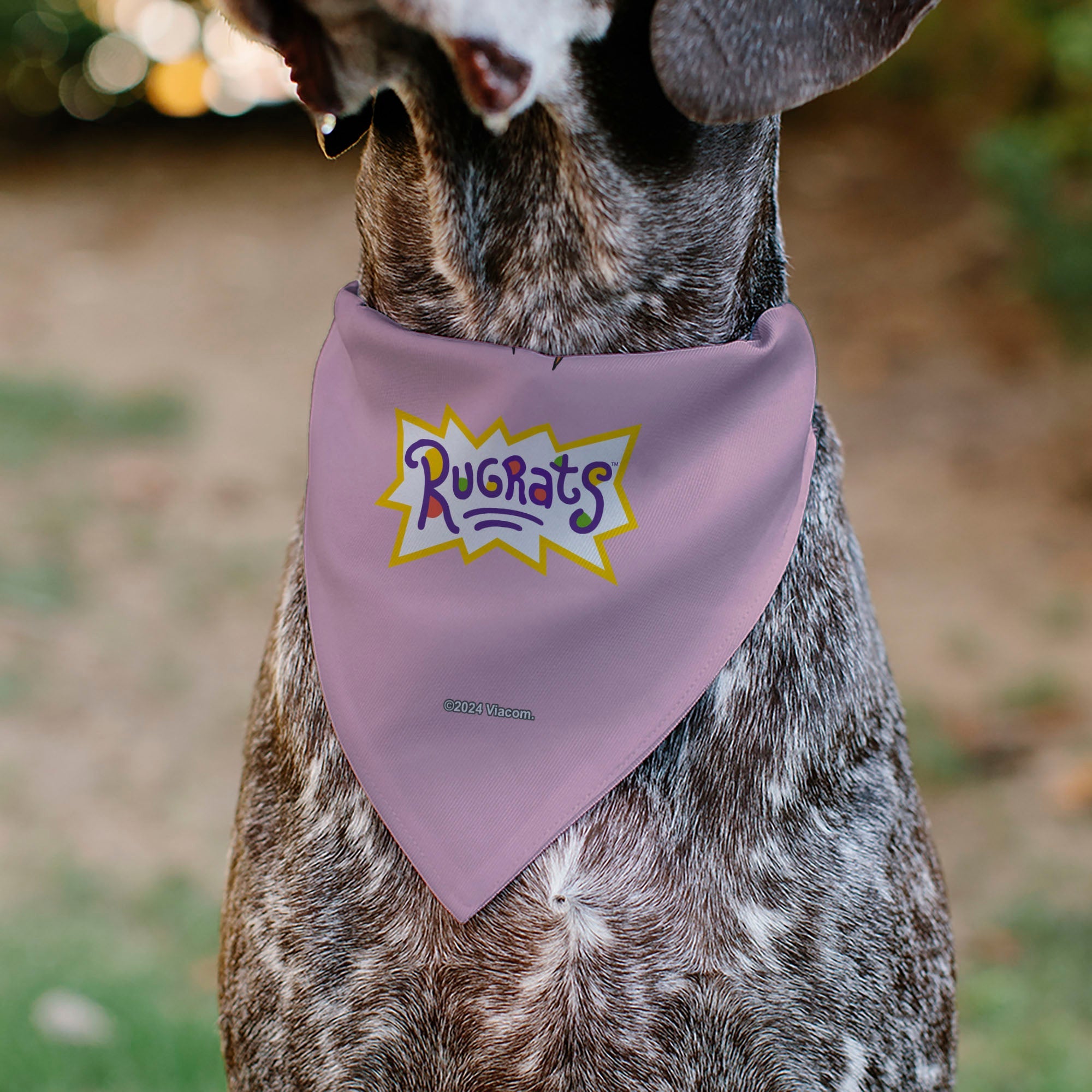 Pet Bandana - Rugrats Chuckie HUG ME Hearts Pose Pink