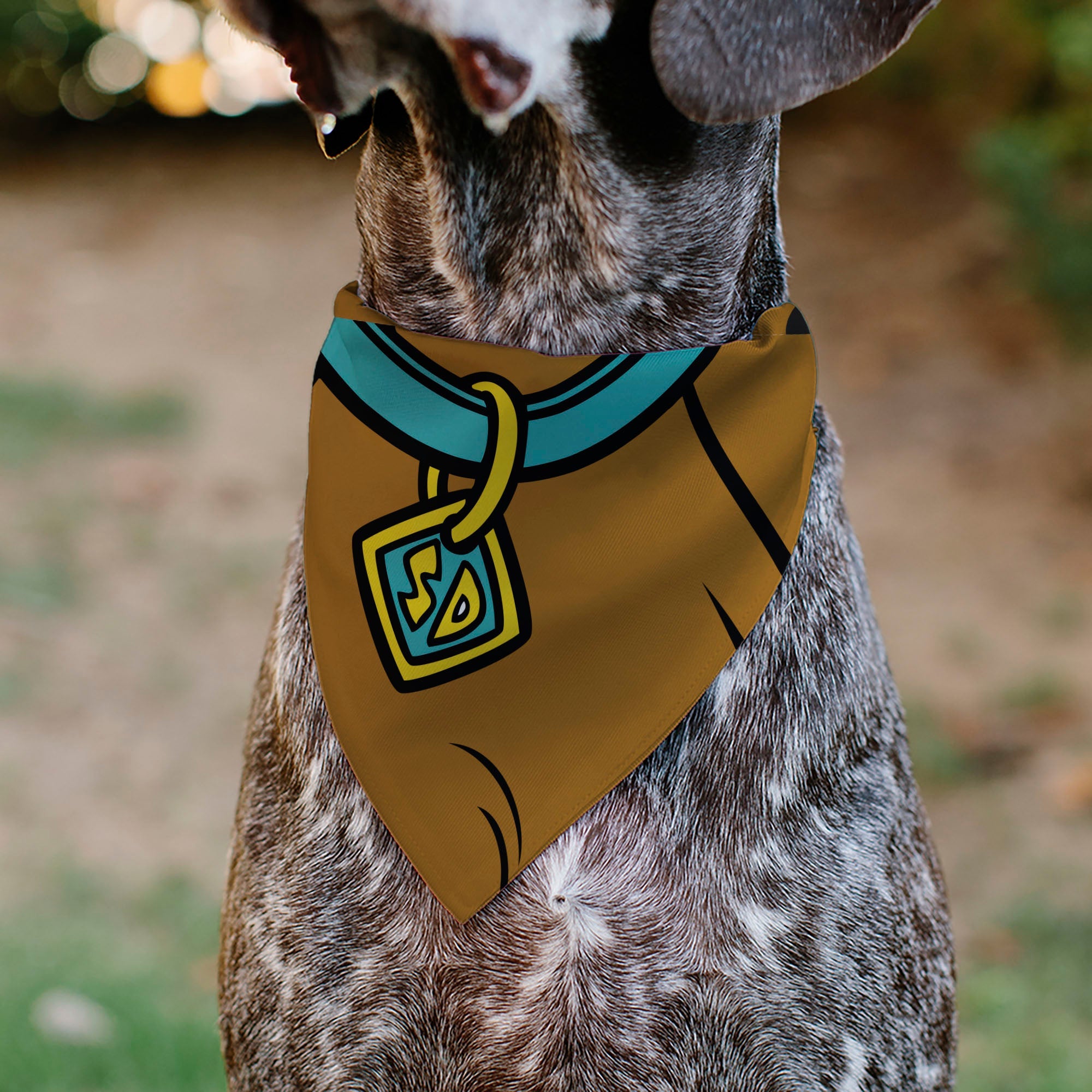 Pet Bandana - Scooby Doo Character Close-Up SD Dog Tag Brown