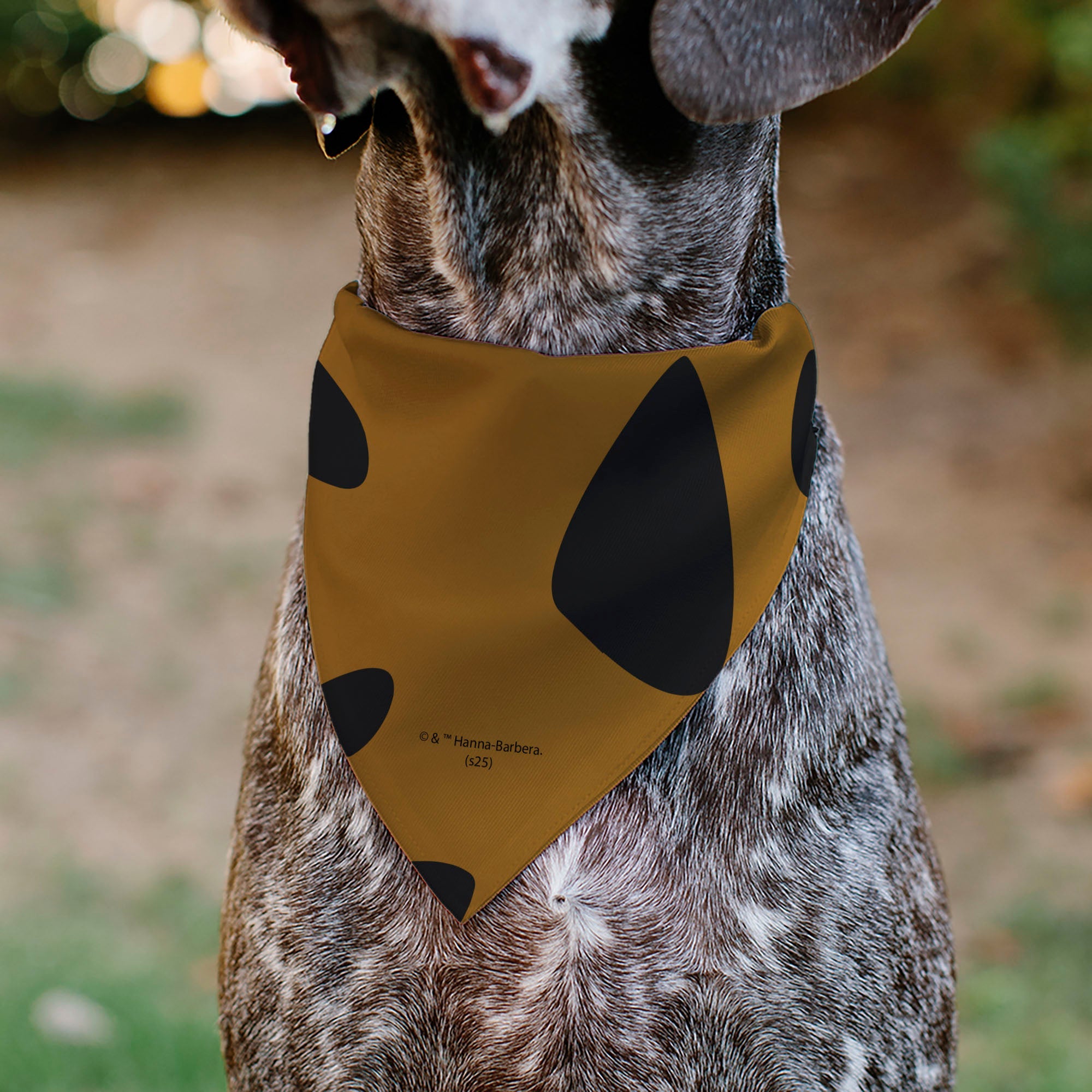Pet Bandana - Scooby Doo Character Close-Up SD Dog Tag Brown
